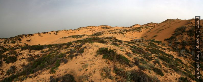 La grande dune d'Almograve. Photo © André M. Winter