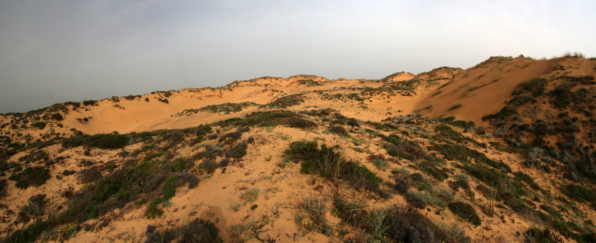 La grande dune d'Almograve. Photo © André M. Winter