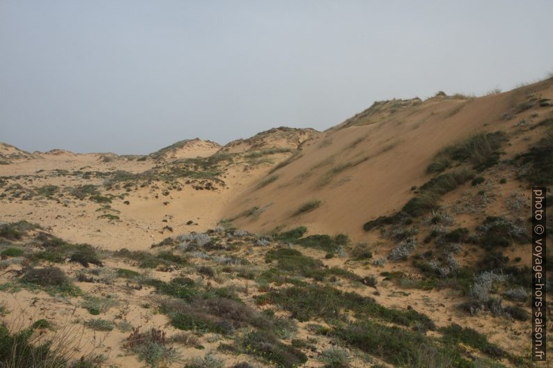 Sable de la grande dune d'Almograve. Photo © Alex Medwedeff