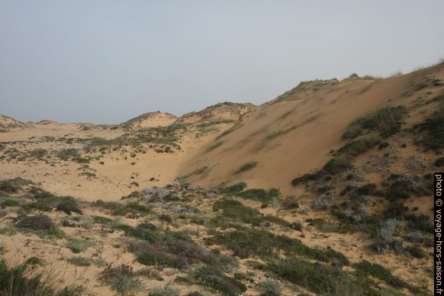 Sable de la grande dune d'Almograve. Photo © Alex Medwedeff