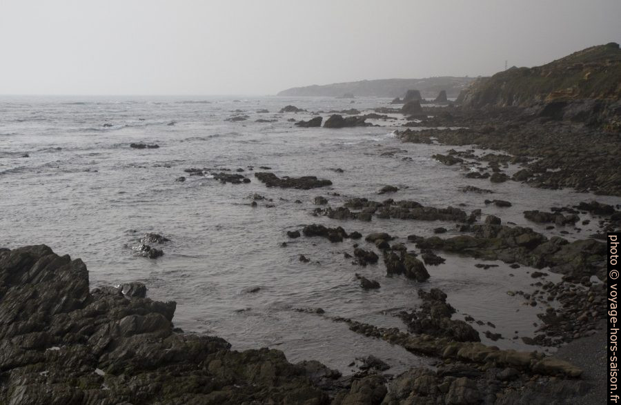 Baie pleine de rochers. Photo © Alex Medwedeff