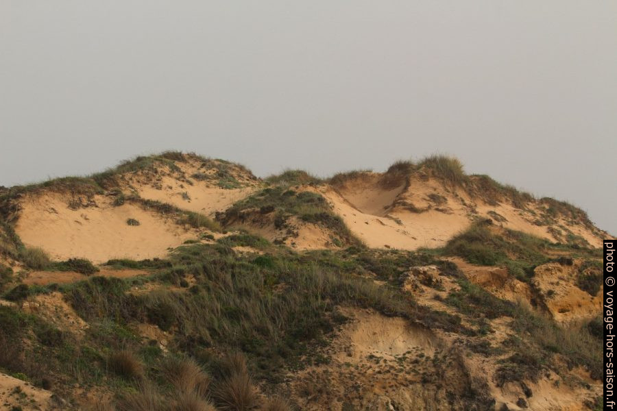 Dunes à l'arrière de la Praia do Carreiro das Fazendas. Photo © André M. Winter