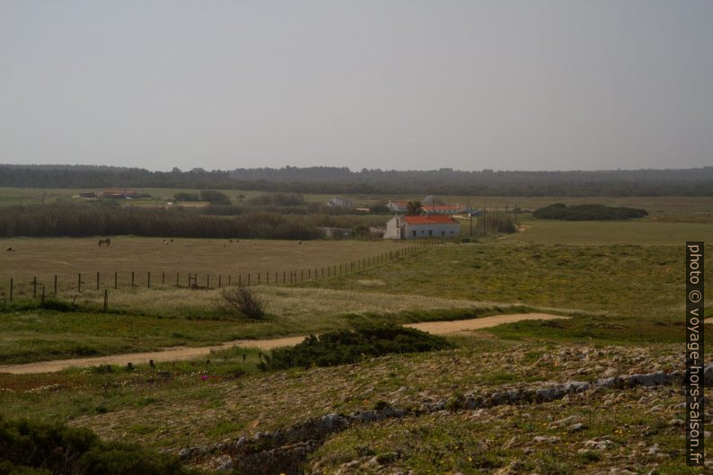 Paysage agricole le matin. Photo © Alex Medwedeff