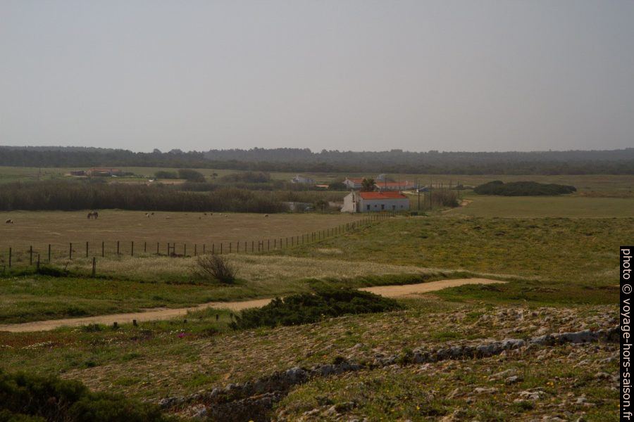 Paysage agricole le matin. Photo © Alex Medwedeff