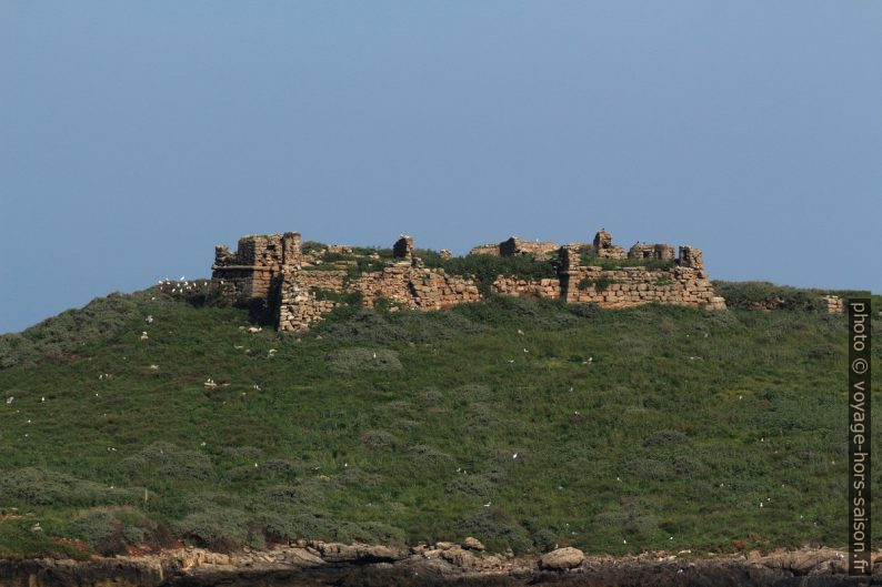 Forte da Ilha do Pessegueiro. Photo © André M. Winter