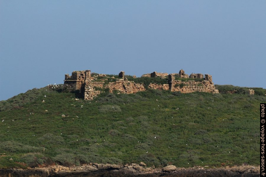Forte da Ilha do Pessegueiro. Photo © André M. Winter