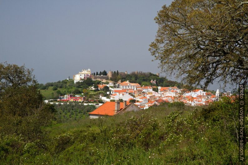 Colline du château de Santiago do Cacém. Photo © Alex Medwedeff