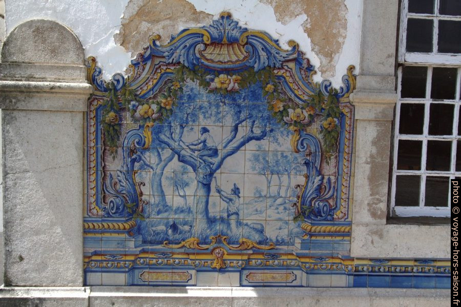 Azulejo multicolore montant la taille du liège. Photo © André M. Winter