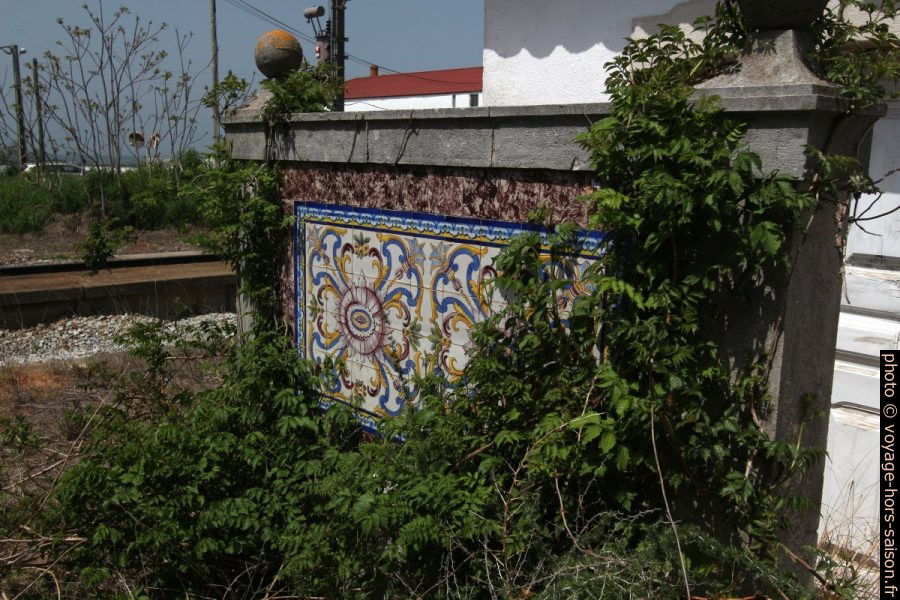 Azulejo multicolore couvert par la végétation rampante. Photo © André M. Winter