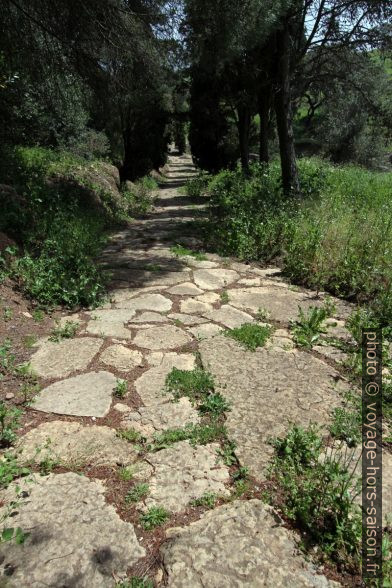 Route menant aux thermes de Miróbriga. Photo © André M. Winter