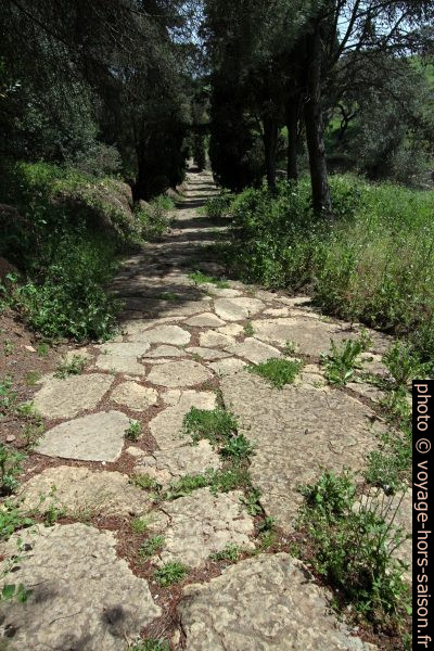 Route menant aux thermes de Miróbriga. Photo © André M. Winter