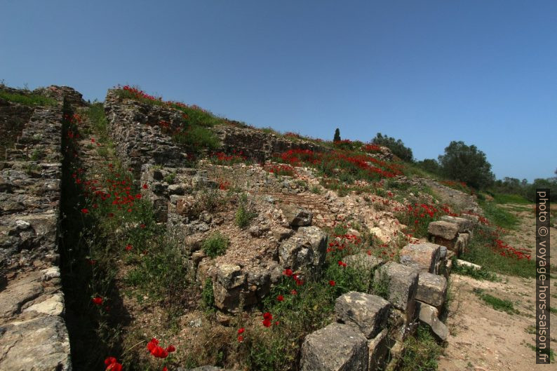 Secteur des tabernae de Miróbriga. Photo © André M. Winter