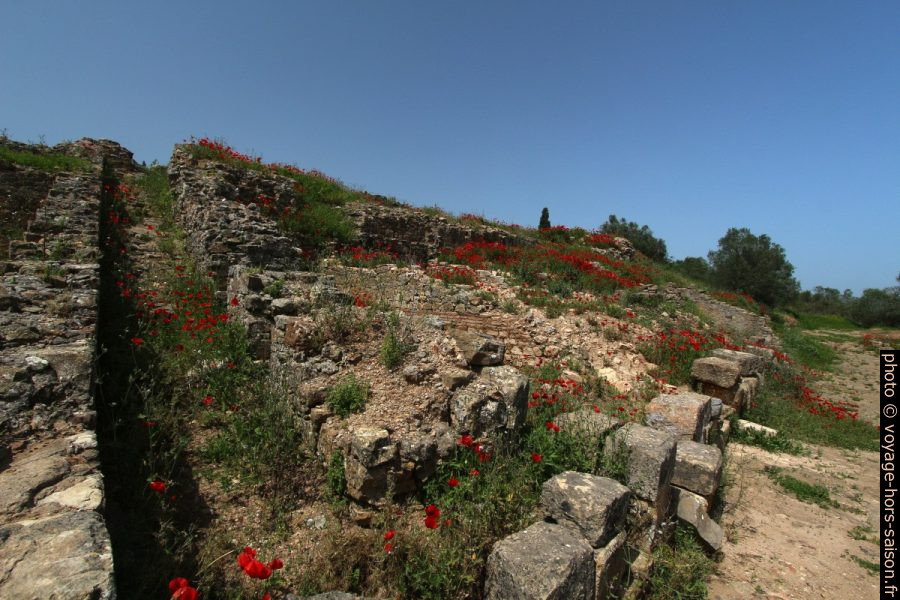 Secteur des tabernae de Miróbriga. Photo © André M. Winter