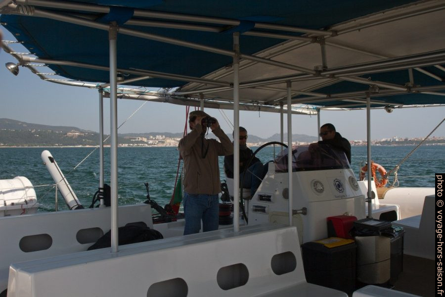 À la recherche de dauphins sur le catamaran de Vertigem Azul. Photo © Alex Medwedeff