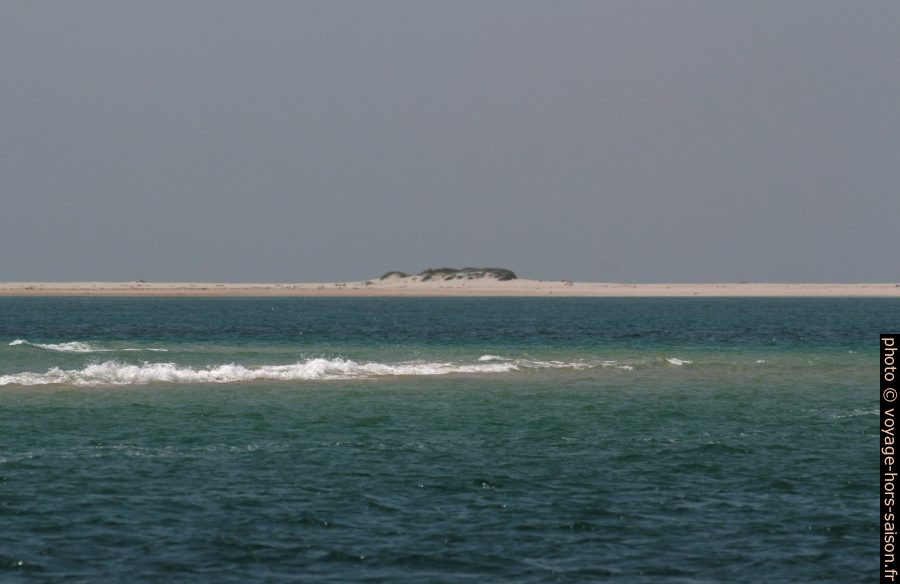 Bancs de sable dans l'estuaire du Sado. Photo © André M. Winter