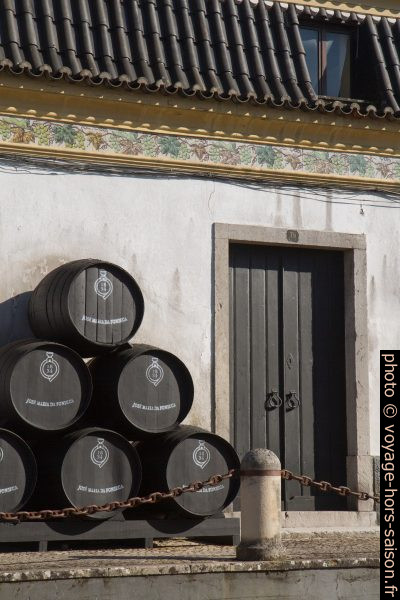 Barriques en bois devant les caves Fonseca. Photo © Alex Medwedeff