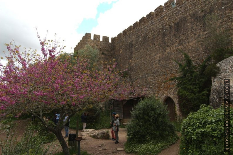 À l'ouest sous la muraille médiévale de Óbidos. Photo © André M. Winter