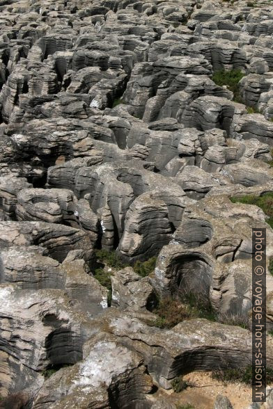 Érosion du calcaire au Cabo Carvoeiro. Photo © André M. Winter