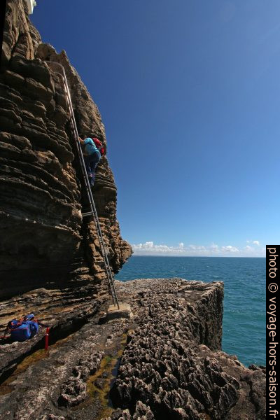 Alex en descente sur l'échelle à la pointe du Cap Carvoeiro. Photo © André M. Winter