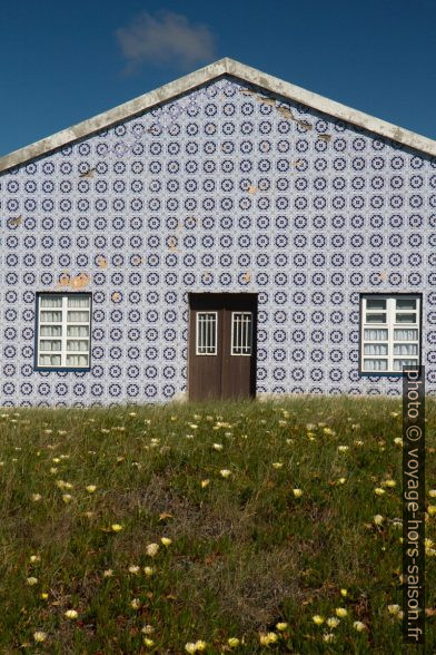 Maison couverte de carreaux bleus et blancs. Photo © Alex Medwedeff