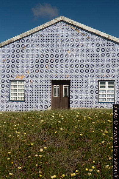 Maison couverte de carreaux bleus et blancs. Photo © Alex Medwedeff