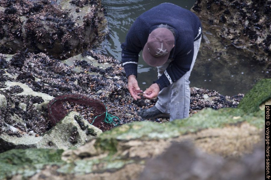 Un pêcheur de percebes trie le prise de ses collègues. Photo © André M. Winter