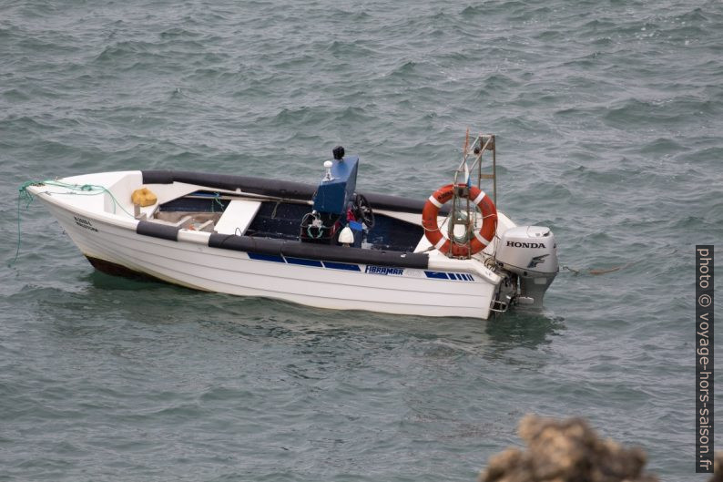 Bateau des pêcheurs de pédonculés au Cabo da Nazaré. Photo © André M. Winter