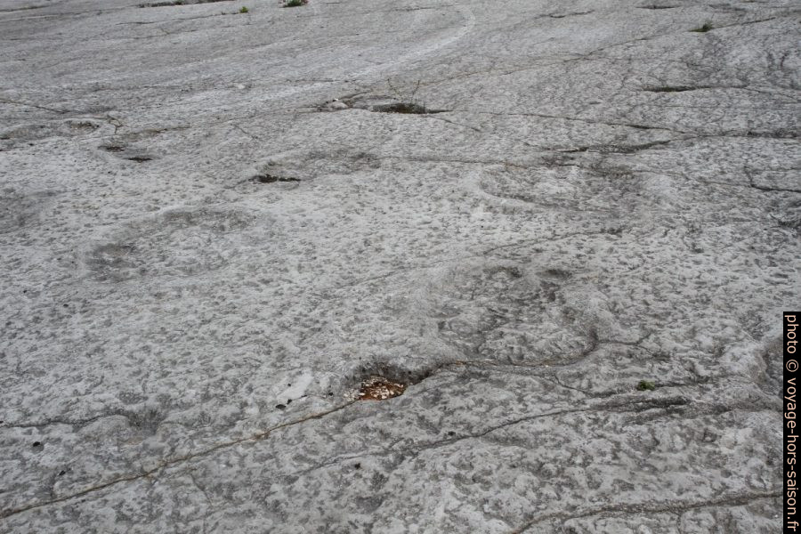 Traces de dinosaures dans la carrière de la Serra de Aire. Photo © Alex Medwedeff