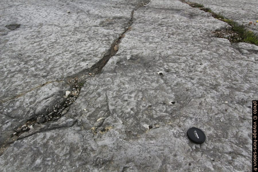 Une trace de dinosaure de la Serra de Aire comparée à un couvercle d'objectif. Photo © André M. Winter