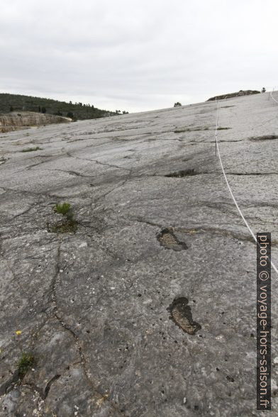 Traces de dinosaure de la Serra de Aire. Photo © André M. Winter