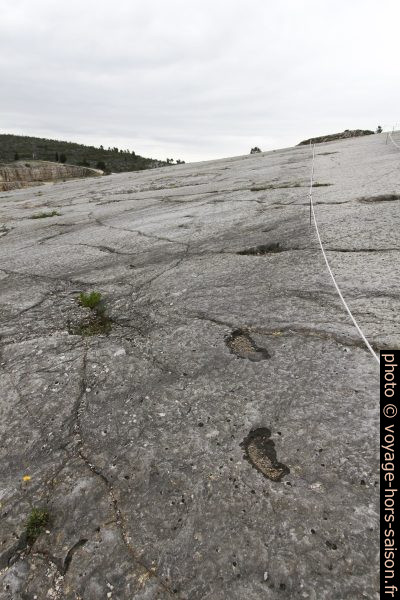 Traces de dinosaure de la Serra de Aire. Photo © André M. Winter