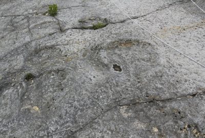 Pas de dinosaure de la Serra de Aire. Photo © André M. Winter