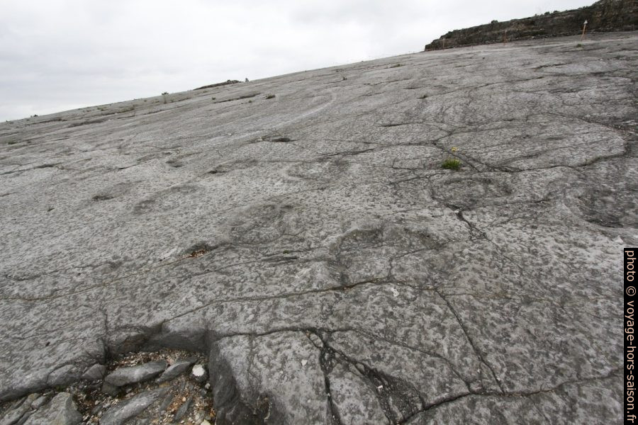 Traces de pas de dinosaures de la Serra de Aire. Photo © André M. Winter