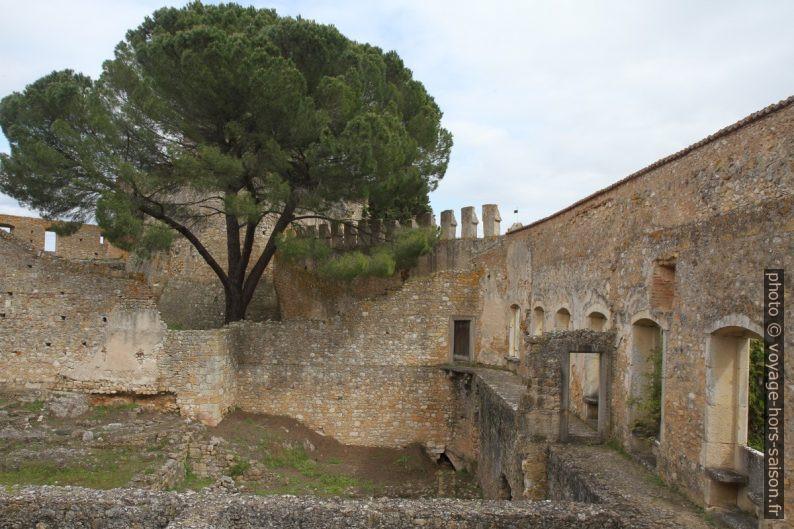 Ruines des quartiers résidentiels de Dom Henrique. Photo © Alex Medwedeff