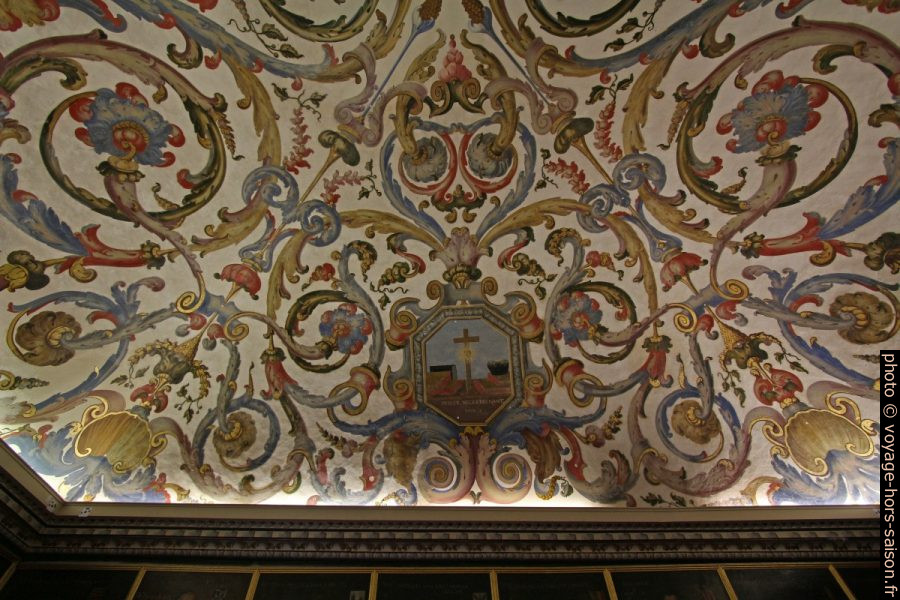Fresques entrelacées au plafond de la Sala do Exame Privado. Photo © André M. Winter