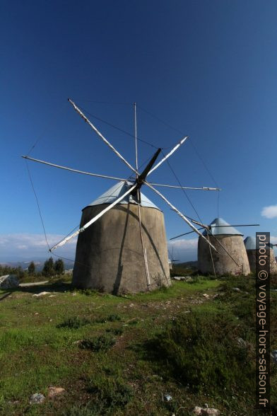 Quelques uns des moulins des Moinhos de Gavinhos. Photo © André M. Winter