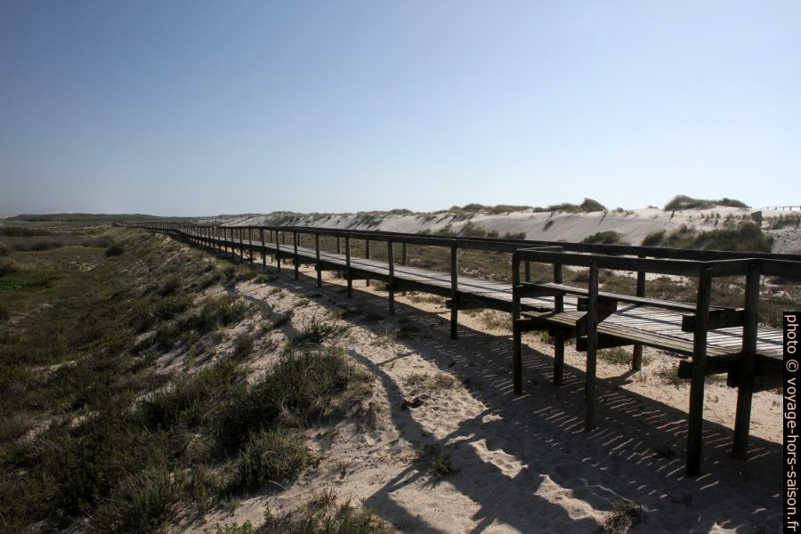 Chemin de madriers à l'arrière de la Praia da Costa Nova. Photo © Alex Medwedeff