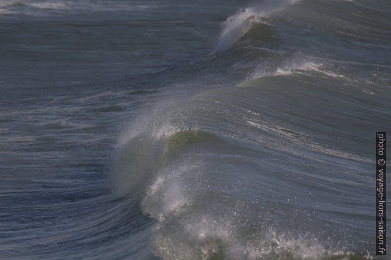 Vue d'une vague déferlante dans son axe. Photo © André M. Winter