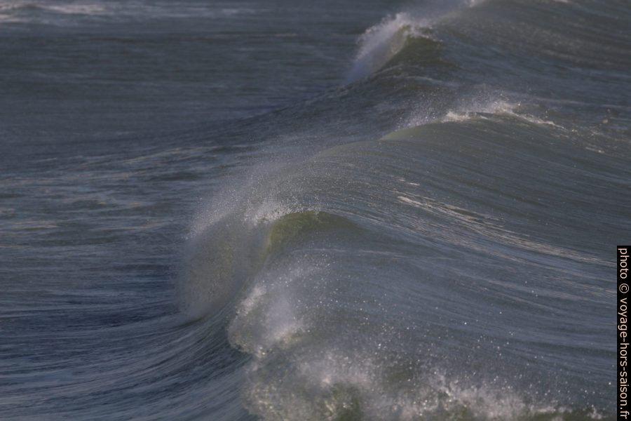 Vue d'une vague déferlante dans son axe. Photo © André M. Winter