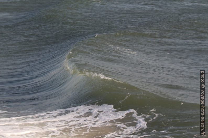 Une vague commence à déferler. Photo © André M. Winter