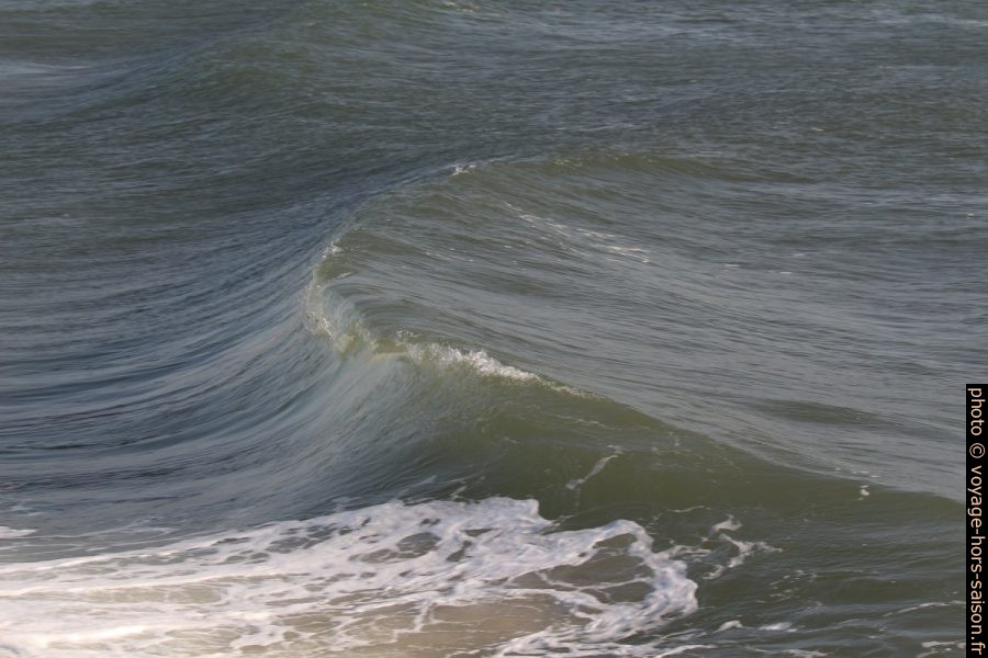 Une vague commence à déferler. Photo © André M. Winter