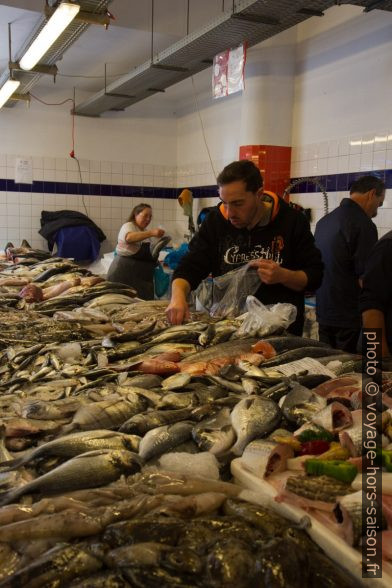 Étal du le Mercado do Peixe da Costa Nova. Photo © Alex Medwedeff