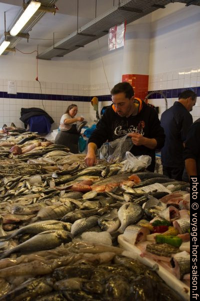 Étal du le Mercado do Peixe da Costa Nova. Photo © Alex Medwedeff