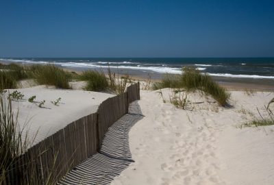 Dunes à l'arrière de la Praia da Gafanha da Boa Hora. Photo © Alex Medwedeff