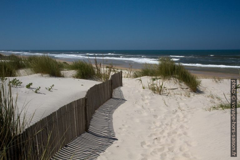 Dunes à l'arrière de la Praia da Gafanha da Boa Hora. Photo © Alex Medwedeff