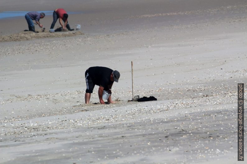 Chercheurs d'appâts dans l'estran par mer basse. Photo © André M. Winter