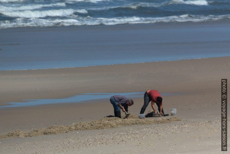 Chercheurs d'appâts à la plage par mer basse. Photo © André M. Winter