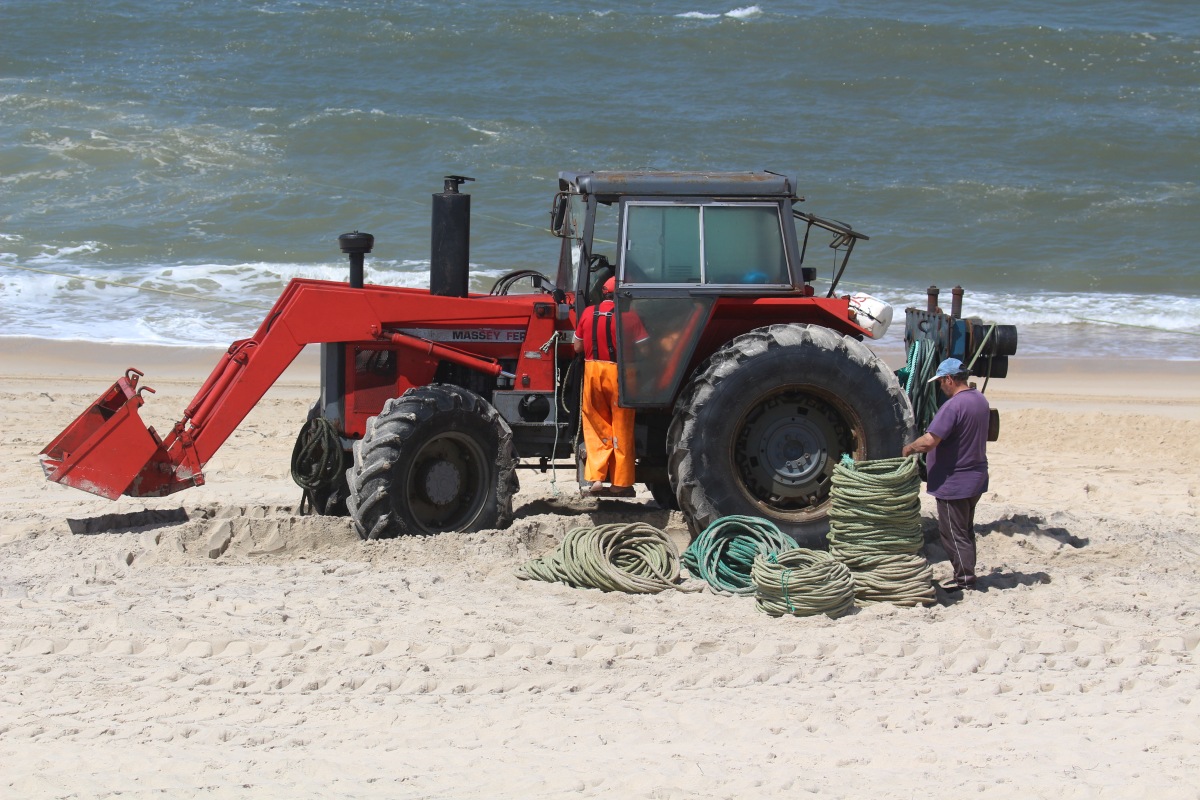 Un tracteurs Massey Ferguson rouge sur la Praia de Mira. Photo © André M. Winter