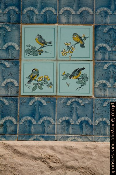 Azulejos montant des oiseaux dans la cour de la Casa do Major Pessoa. Photo © Alex Medwedeff