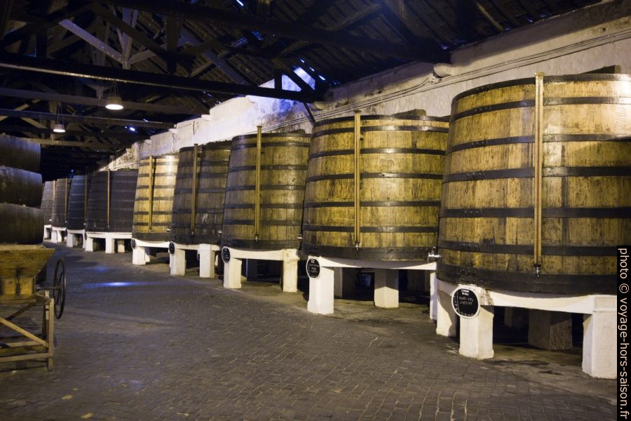 Grands tonneaux contenant plus de 9000 litres de porto vintage. Photo © André M. Winter
